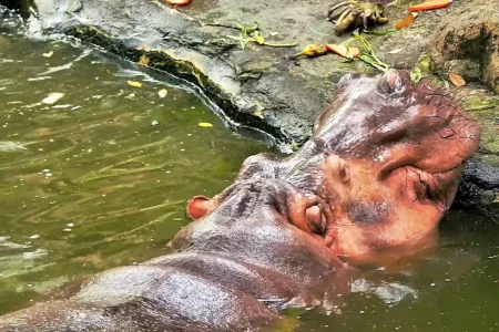 34823684-42876047-generated-thumbnail