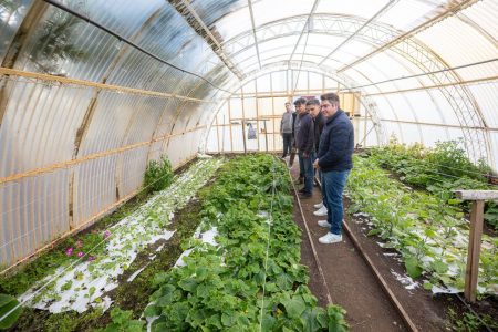 5026351221391953135 (1)