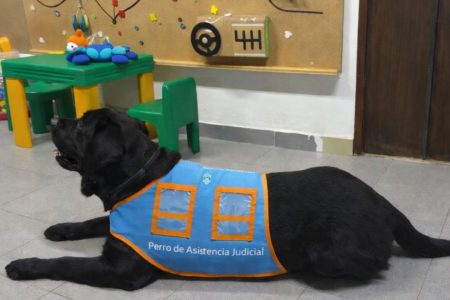 photo_5004000885893434230_y