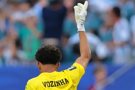 vozinha